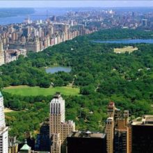 centralpark_1