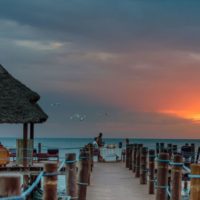 zanzi resort6