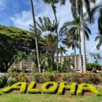 Aloha Maui