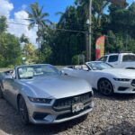 Maui - Mustang