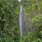 Waimoku falls
